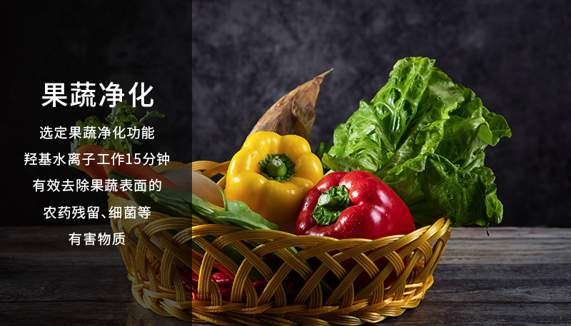 果蔬凈化